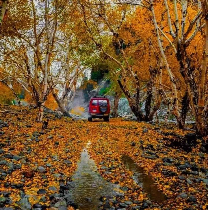 Tours-And-Travel