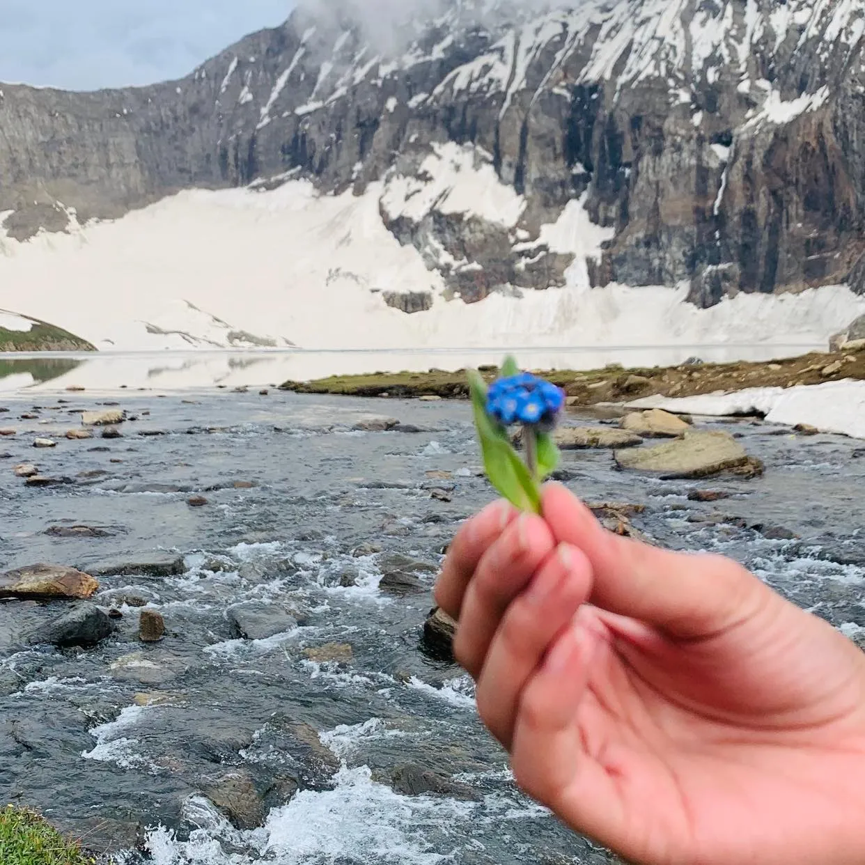 Neelum Valley Tours