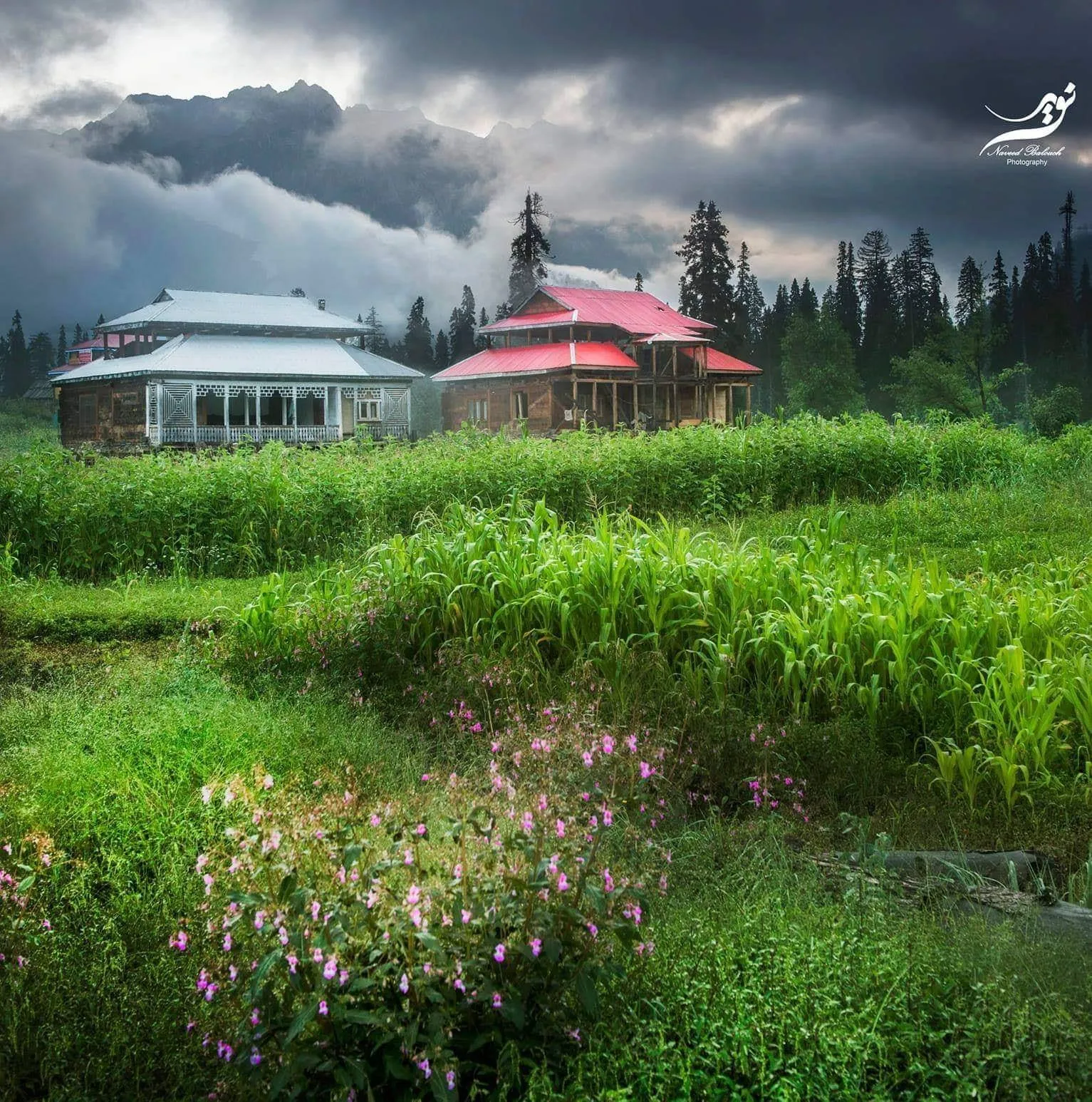 Neelum Valley