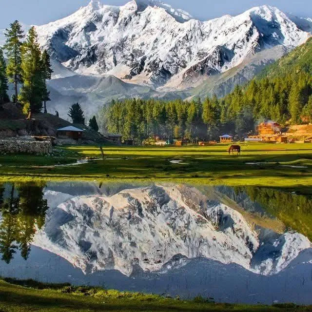 Fairy Meadows