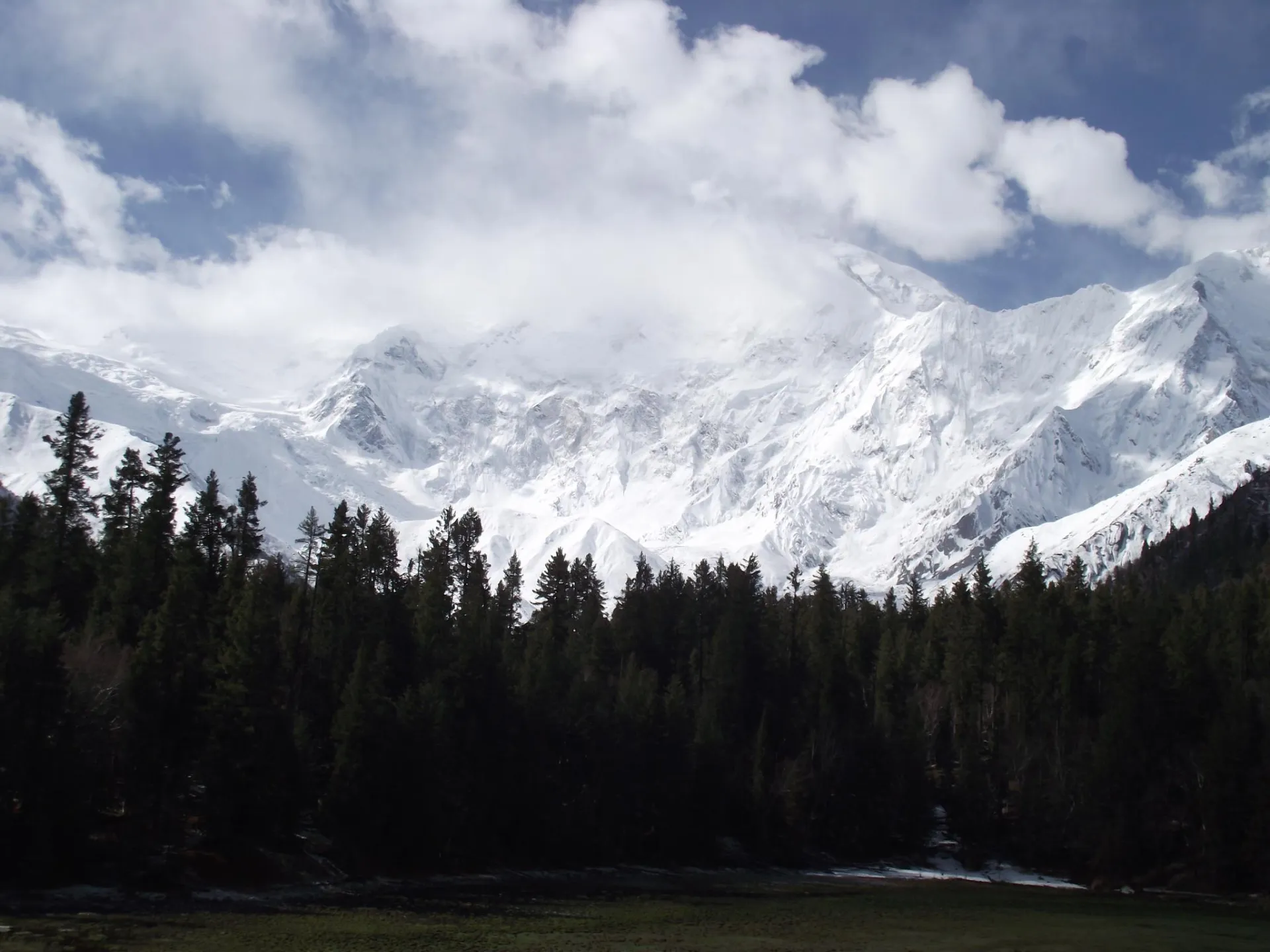Fairy Meadows & Nanga Purbat