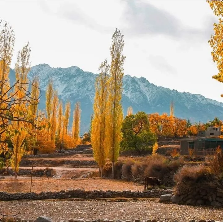 Explore the Beauty of North Pakistan.