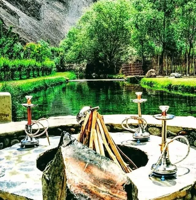 Safari Travel and Tours