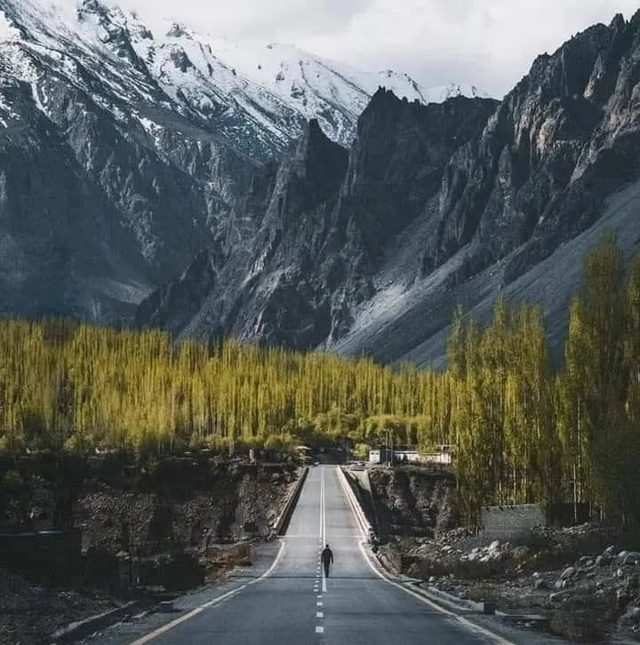 Green Valley Tours & Travels